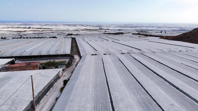 greenhouse plastic sea drone business industry roof industrial field invernaderos intensive farming mass production infinite capitalism process architecture pattern - Andalusia, Spain - 2025