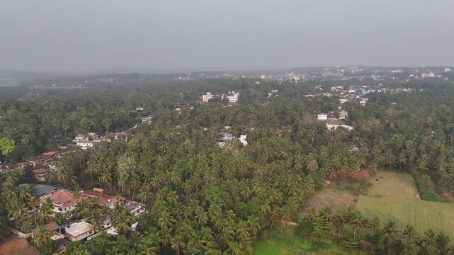 Drone footage reveals lush green coconut palm groves surrounding scattered residential buildings with terracotta rooftops in a misty tropical village landscape with agricultural fields and dense veget