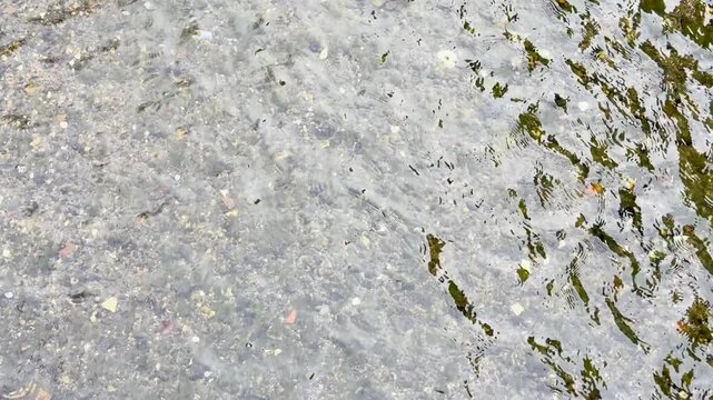 Clear Water Ripples Over Pebbles in a Kyoto Japan Stream