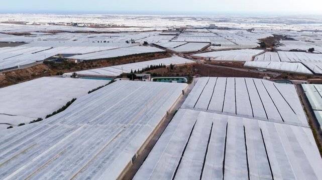 greenhouse plastic sea field industry pattern industrial drone travel business architecture landscape infinite pattern roof texture - Andalusia, Spain - 2025