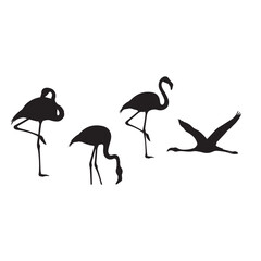 Naklejka premium Flamingo Silhouette Set Black White Vector Minimal Illustration Flamingo Bird Silhouettes Collection Simple Flat Design Pack Flamingo Vector Bundle Black and White Wildlife Silhouette Set
