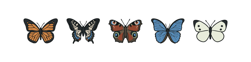 Butterfly Collection: Monarch, Swallowtail, Peacock, Blue Morpho, Cabbage White © liubomir118809
