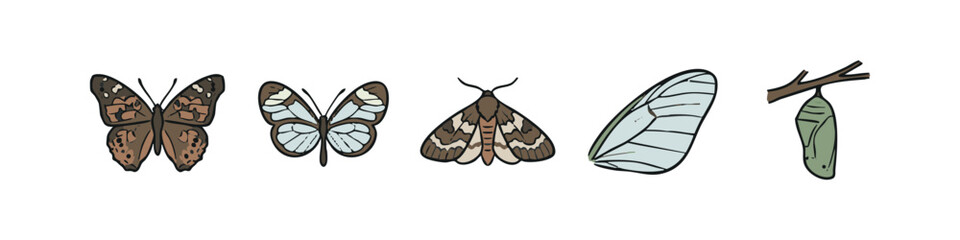 Butterfly and Moth Icons: Brown Butterfly, Blue-winged Butterfly, Moth, Wing, Chrysalis © liubomir118809