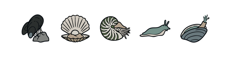 Marine life icons: mussels, scallop, nautilus, sea slug, clam © liubomir118809
