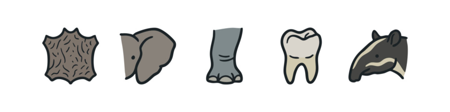 African animal part icons: hide, ear, leg, tooth, tapir