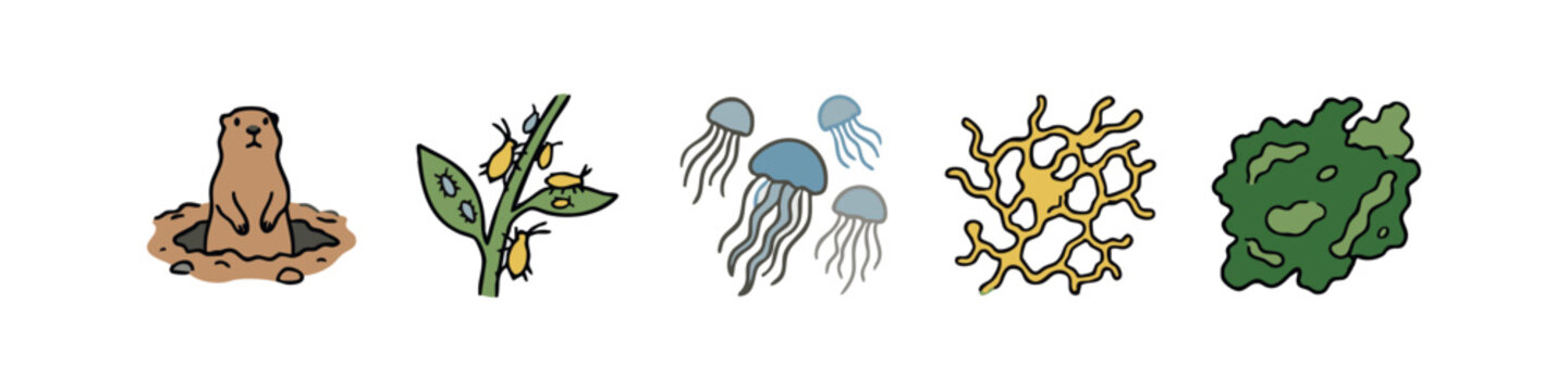 Diverse animal and habitat icons: gopher, aphids, jellyfish, coral, moss