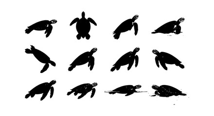 Sea turtle silhouette collection, 12 black marine animal icons, aquatic reptile vector set, swimming green turtle shapes for ocean conservation © sogir