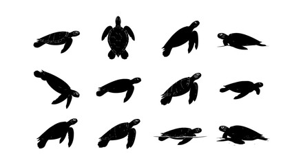 Sea turtle silhouette collection, set of 12 marine animal icons, black aquatic reptile shapes, ocean wildlife vector graphics for nature conservation © Robiul