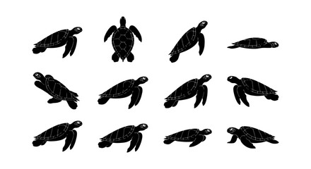 Sea turtle silhouette collection, set of 12 black marine turtle icons, ocean wildlife vector graphics for nature conservation and beach branding © Robiul