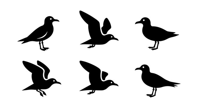 Minimalist seagull silhouette icons, black sea bird vector set, flying and standing coastal gulls, nautical wildlife illustrations for logo design