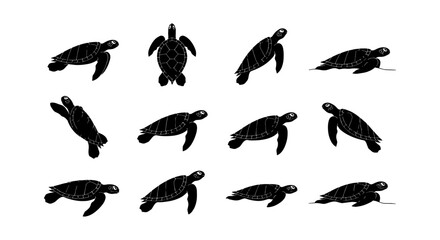 Obraz premium Sea turtle silhouette collection, set of 12 marine animal vector icons, black aquatic tortoise shapes for ocean conservation and beach branding