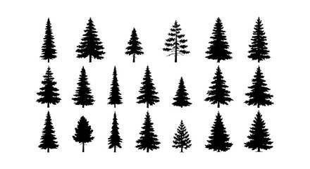 Fototapeta premium Coniferous pine tree silhouettes, set of 18 evergreen forest tree icons, black spruce and fir vector elements for outdoor landscape design