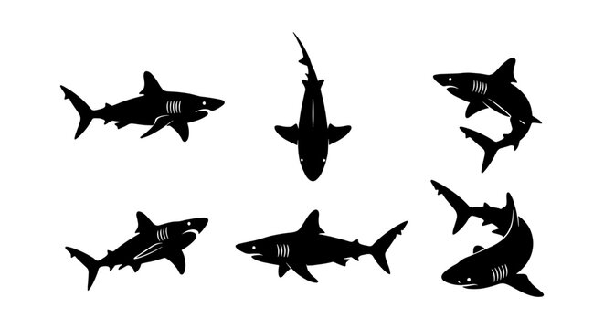 Shark silhouette vector collection, set of 6 predatory great white shark icons, black marine animal shapes isolated on white background