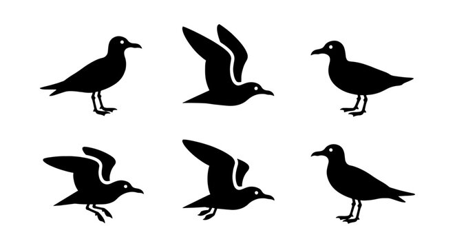 Seagull silhouette vector set, black sea bird icons in flying and standing poses, 6 minimalist coastal bird elements for marine logos
