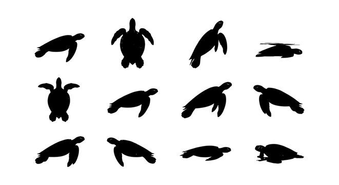 Sea turtle silhouette collection, 12 aquatic animal vector icons, black marine reptile shapes on white background, ocean wildlife nature set