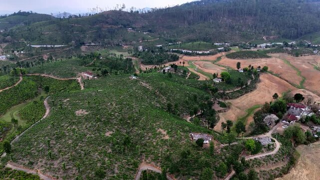 Drone shot capturing Valparai with lush green plantations, winding roads, and distant hills enveloped in haze, while clustered houses add contrast to the natural scenery.