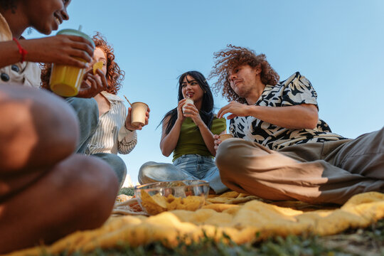 Diverse friends enjoying a summer picnic in park