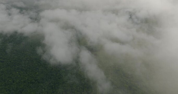 Ethereal White Clouds Drifting Green Forest Canopy And The Churun River In Canaima National Park, Venezuela. aerial shot