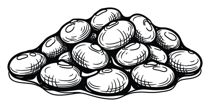 Detailed hand drawn sketch depicting a cluster of wholesome soybeans offering a versatile graphic element for culinary presentations or food packaging designs.