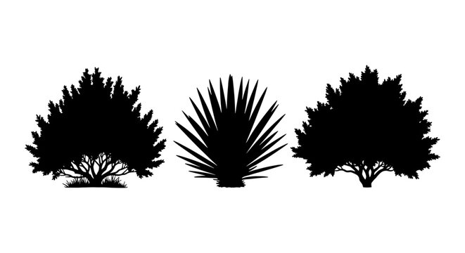 Black bush silhouettes, set of 3 garden shrub vector elements, desert agave and landscape plant icons isolated on white background