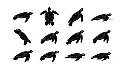 Sea turtle silhouette collection, 12 black marine animal icons, swimming ocean reptile vector set for conservation and aquatic design © Monir
