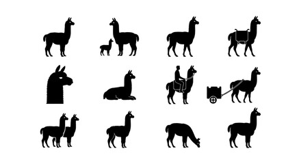Llama silhouette icon set, 12 black alpaca vector elements, South American camelid animal graphics for farm and nature branding © Monir