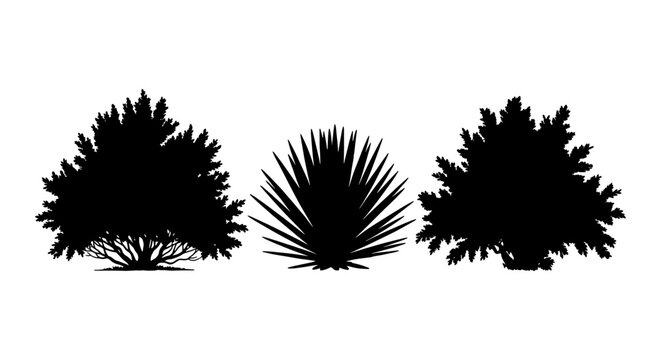Black bush silhouette set, garden shrub and desert plant vector icons, collection of 3 landscape vegetation elements for architectural site plans