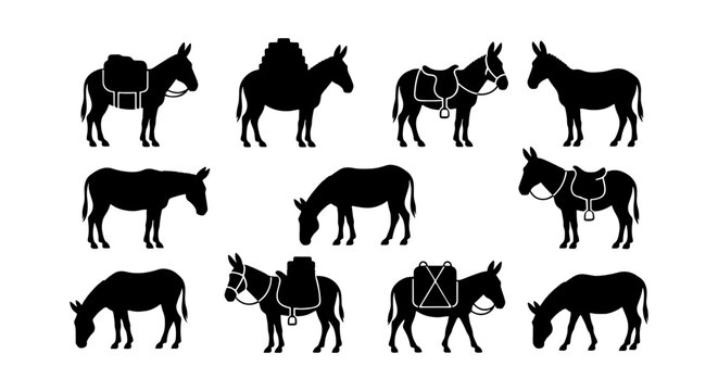 Donkey silhouette vector set, 11 pack animal icons with saddles and luggage, black mule and burro silhouettes for farm and travel design