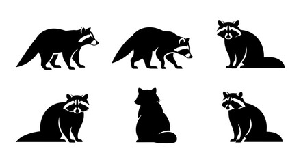 Raccoon silhouette set with 6 vector icons, black raccoon animal shapes in various poses, wild forest mammal graphics for logo design and nature branding © Sujon