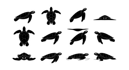 Sea turtle silhouette collection, 12 black marine reptile icons, swimming and crawling aquatic turtle vector set for ocean conservation and nature design © Sujon