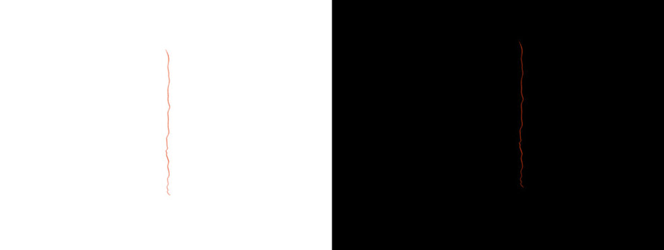 Thin Vertical Red Line Brush Stroke on White and Black Background