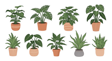 Fototapeta premium Collection of various green indoor house plants in ceramic pots isolated on a white background for interior decoration design.