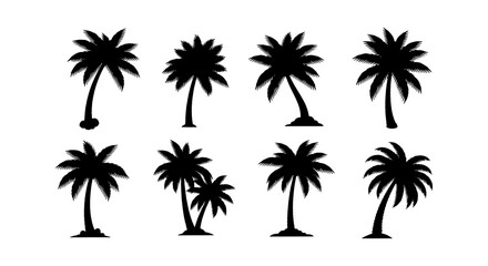 Fototapeta premium Tropical palm tree silhouettes, set of 8 black coconut tree icons, summer beach plant vector elements for vacation and travel design