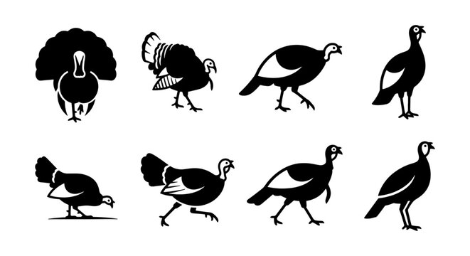 Wild turkey silhouette vector set, 8 black bird icons for Thanksgiving and hunting designs, rustic poultry farm animal graphics on white background