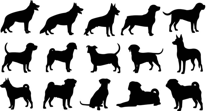 Dog breed silhouettes collection, 15 black canine vector icons, diverse pedigree puppy shapes, standing and sitting pet animal profiles