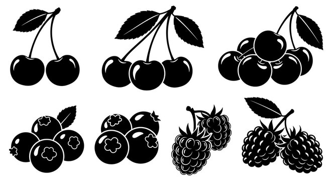Black cherries, blueberries, and raspberries in silhouette style