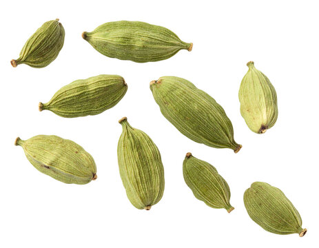 Falling cardamom pods isolated on white background, flying green spice seeds cutout