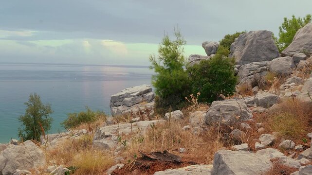 Camera pans left across a rugged, rocky hillside with dry grass and green pine trees, revealing a beautiful, calm sea and a sandy beach below under a cloudy sky. Scenic coastal landscape view