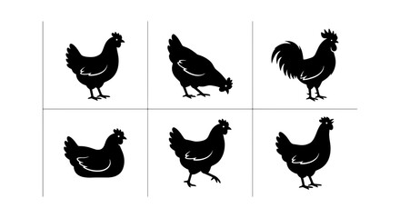 Black chicken silhouette collection, 6 poultry vector icons, farm bird rooster and hen silhouettes, organic livestock farming graphics for food packaging © Tanzila