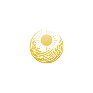 agriculture logo design vector 