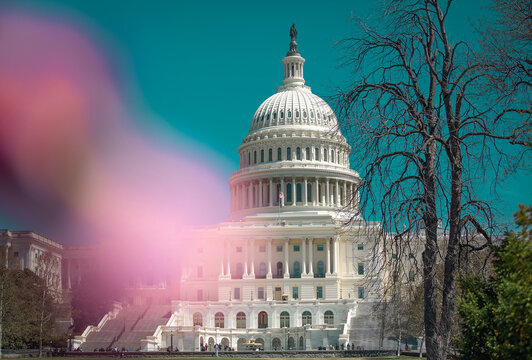 The Capitol Building in Washington DC in spring