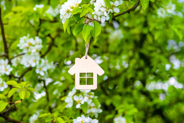 Naklejka premium The symbol of the house among the branches of the pear 