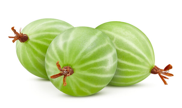 Gooseberries isolated on transparent background. Green gooseberries are fresh and isolated. Gooseberries isolated png