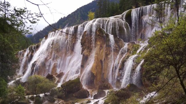 A stunning wide-angle view of the majestic Pearl Shoal Waterfall (Zhenzhu Tan), featuring white water cascading over a broad, mossy calcified cliff into a forested valley under a misty sky.