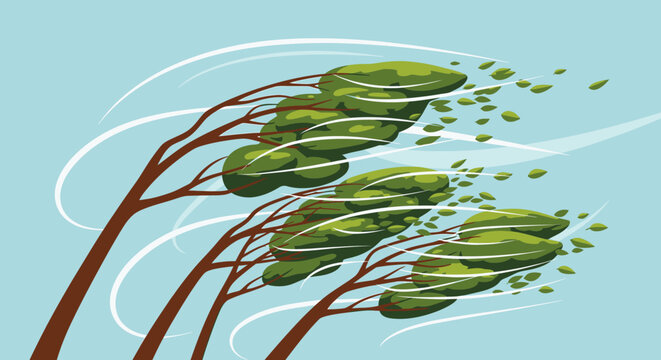 Green leaves blowing in the wind.