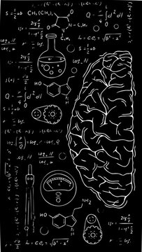 Stylized Human Brain with Scientific Formulas and Mathematical Equations, an Abstract Line Art Concept of Intellect and Innovation