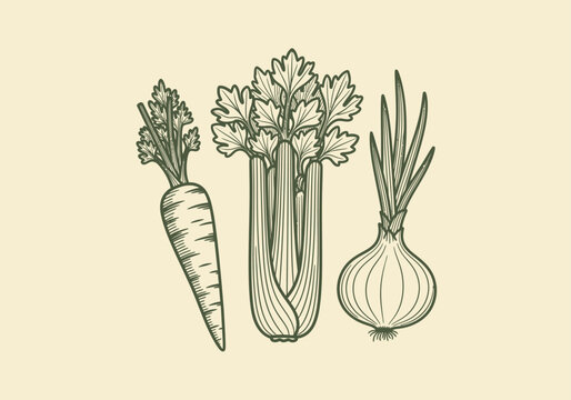 Vintage Style Mirepoix Vegetable Line Art Illustration Featuring Carrot, Celery, and Onion for Culinary and Organic Food Design
