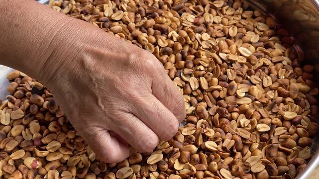 A hand carefully sorting through a bowl of clean roasted peanuts, picking out the final remaining skins to ensure perfect quality after the winnowing process.