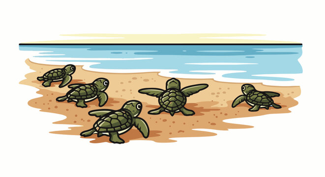 Five baby turtles crawl towards the ocean on a sandy beach