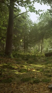 Sunlight shines through branches in a forest. Leaves cover the ground and fallen logs are present. Soft light creates a warm atmosphere in the green surroundings, showing nature in detail.